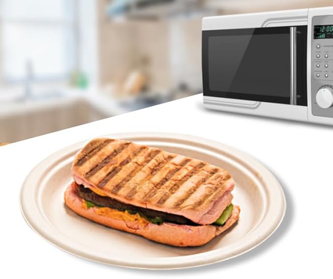 10 Inches Disposable Plate, 10" Biodegradable Paper Plates, Pack of 120