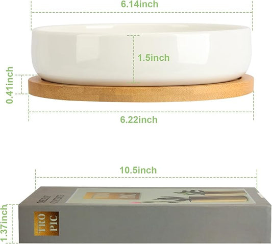 ZOUTOG Succulent Pots,6 Inch Succulent Planters with Drainage and Tray,4 Pack White Ceramic Planters for Indoor Plants,Round Shallow Flower Plant Pots